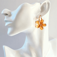 BOUCLES FAUSTINE (MARRON)