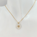 COLLIER MADELINE