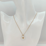 COLLIER MADELINE